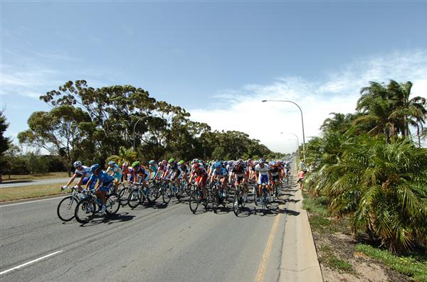 The peloton